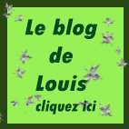 blog de louis
