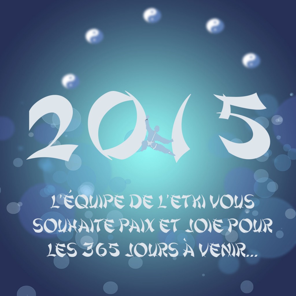 voeux2015